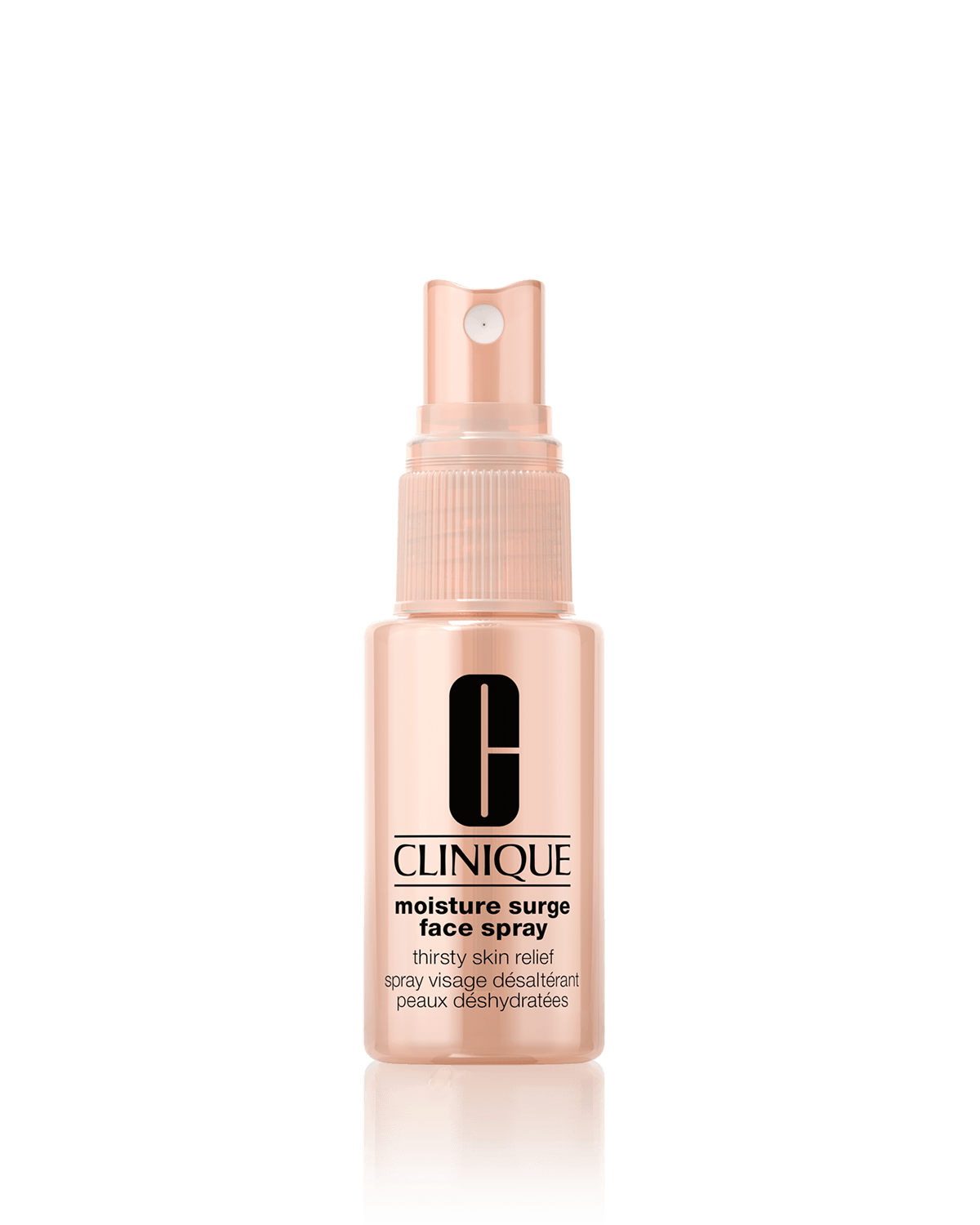 Reisegröße - Moisture Surge™ Face Spray